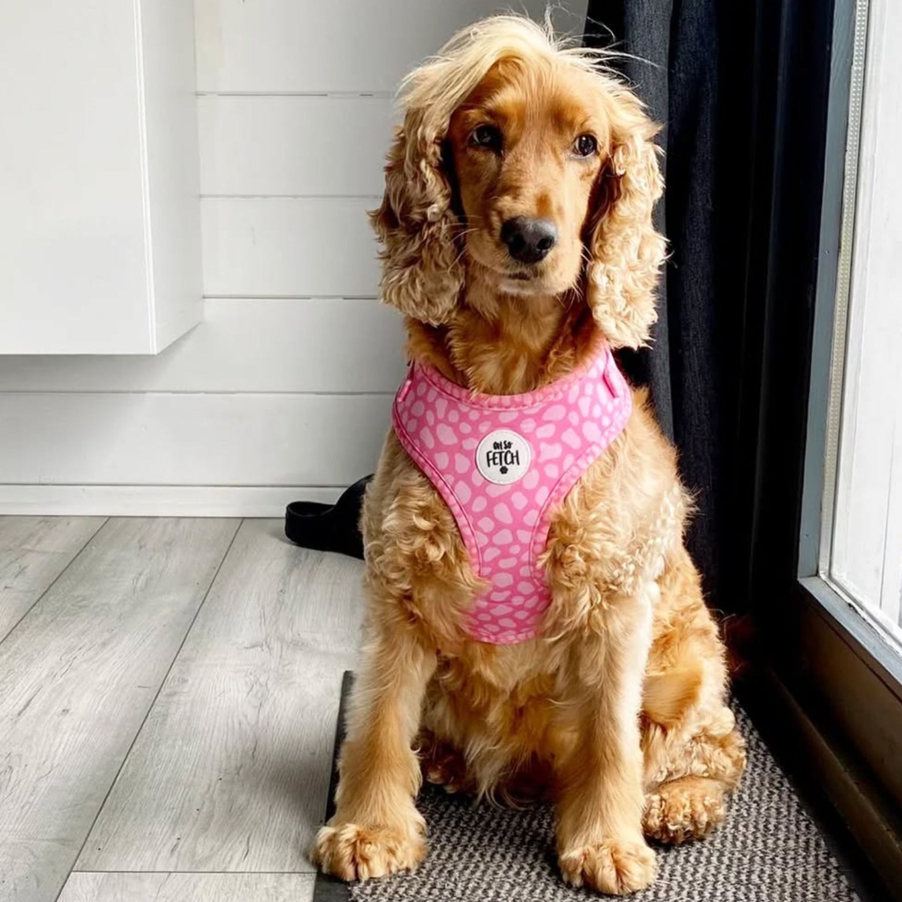 Oh So Fetch Pretty Wild Padded Dog Harness in Pink