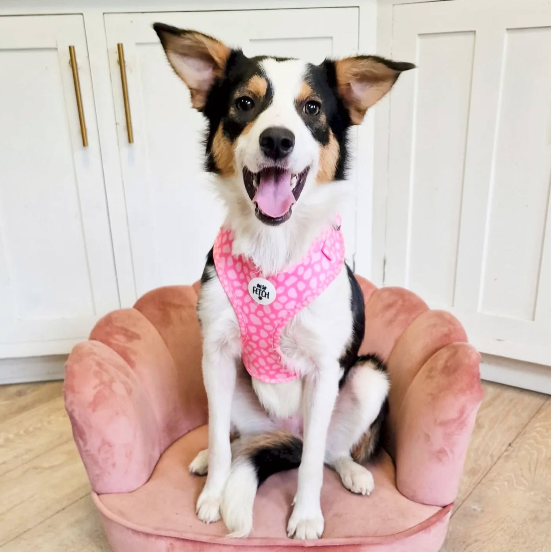 Oh So Fetch Pretty Wild Padded Dog Harness in Pink