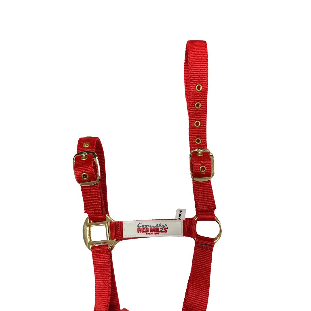 Red Mills Horse Headcollar in Red