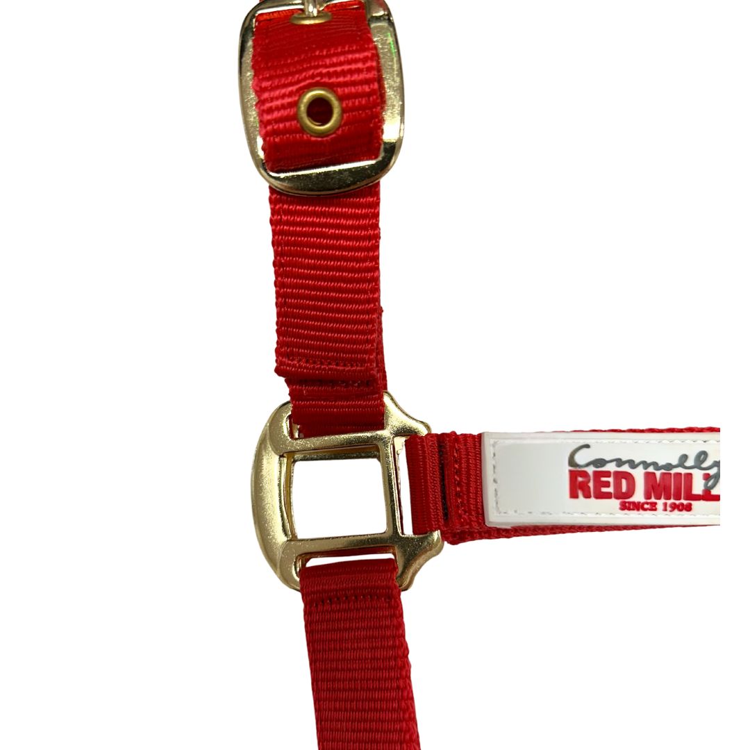Red Mills Horse Headcollar in Red