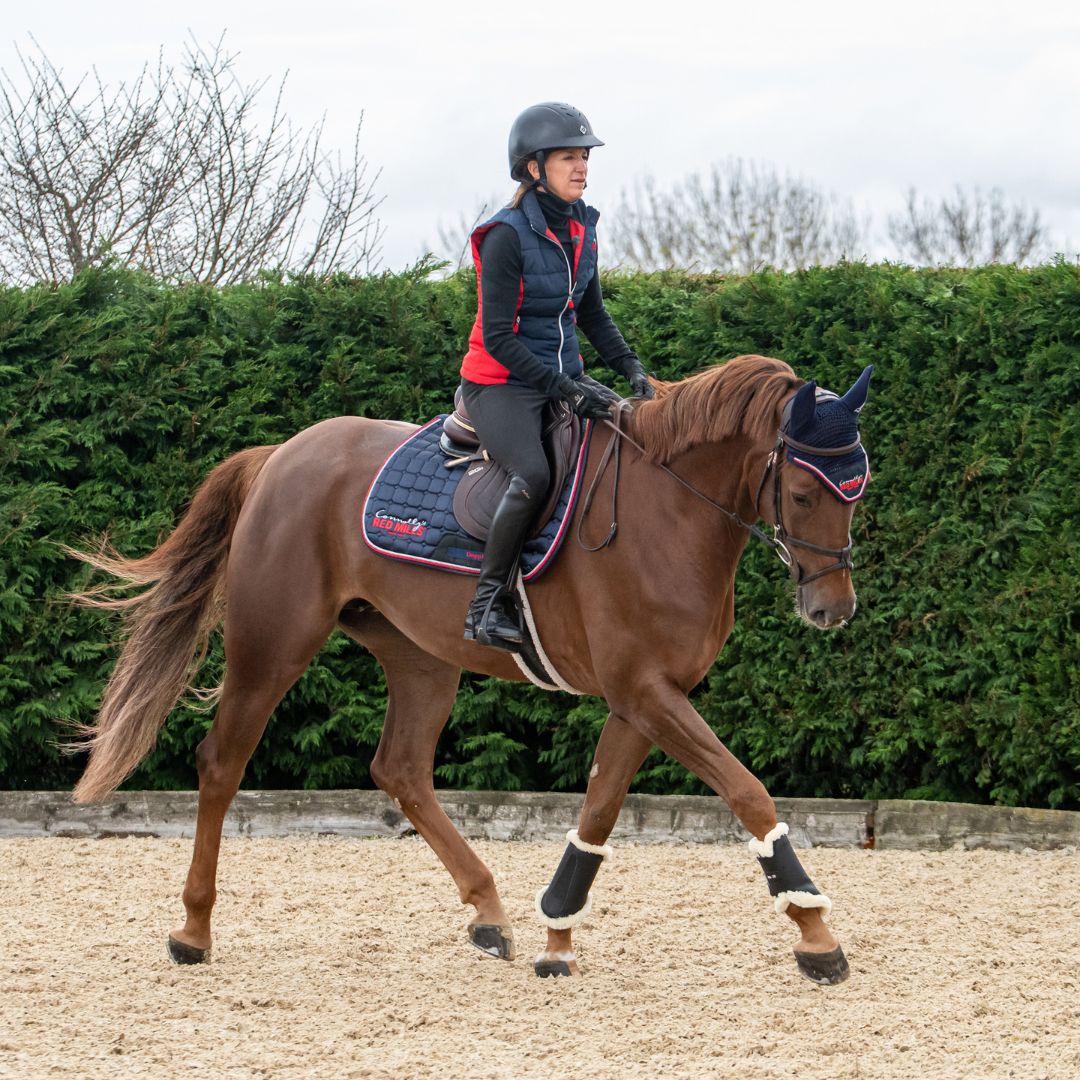 Red Mills Horse Saddle Pad in Navy