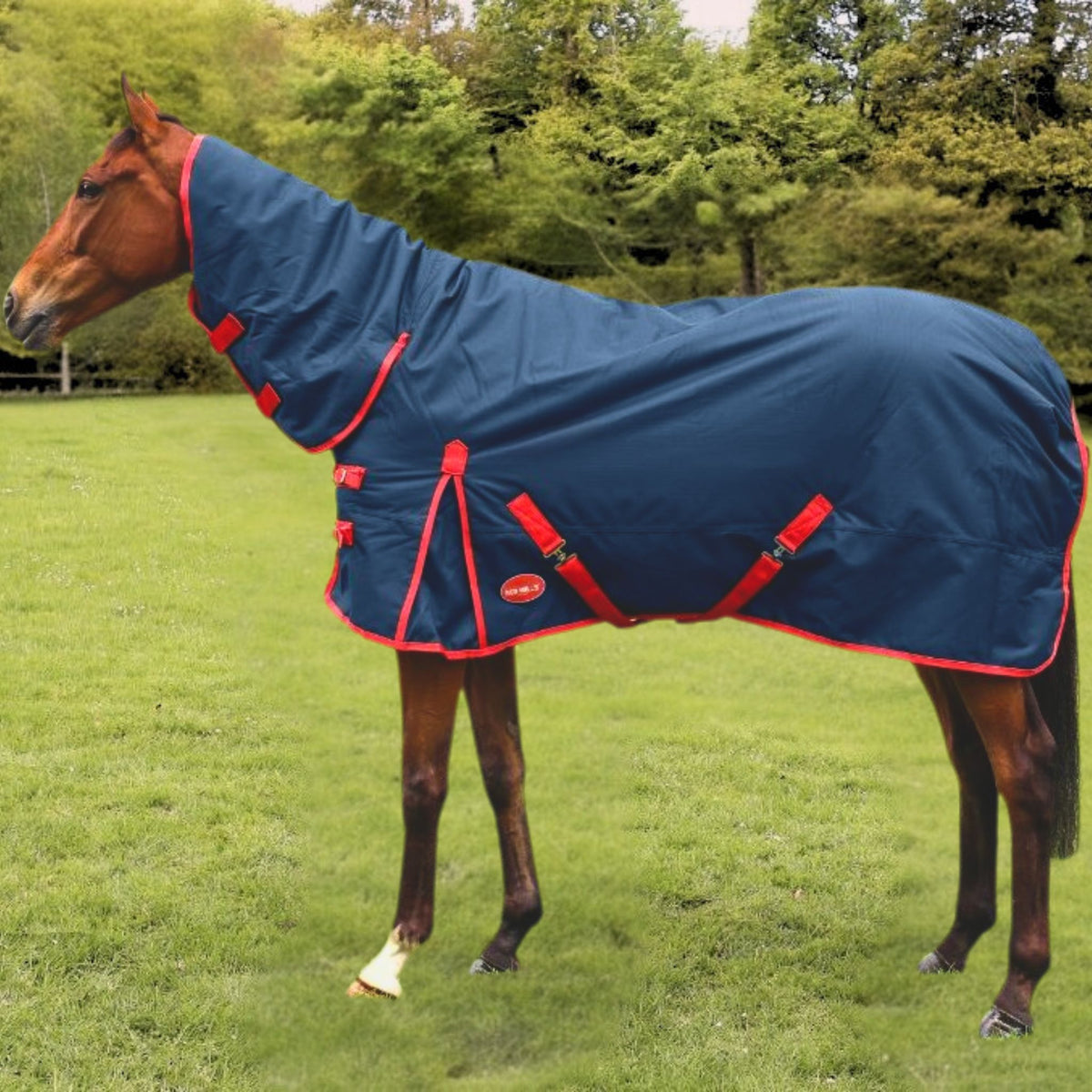 Red Mills Horse Heavy Turnout Rug in Navy & Red (400g)