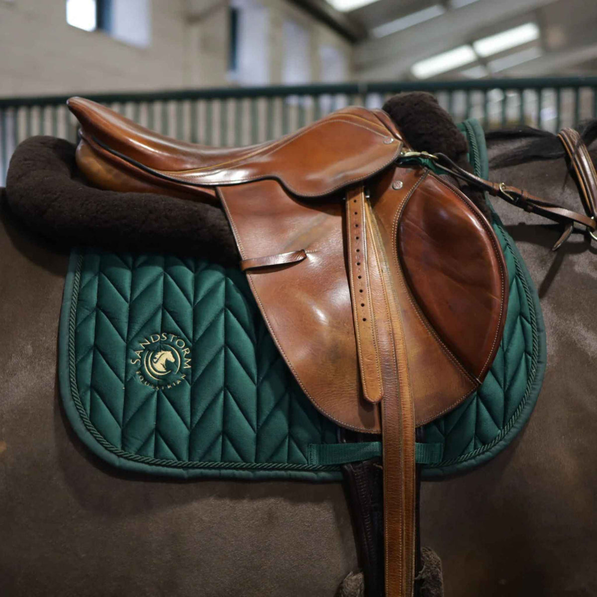 SandStorm Horse Saddle Pad in Emerald Green