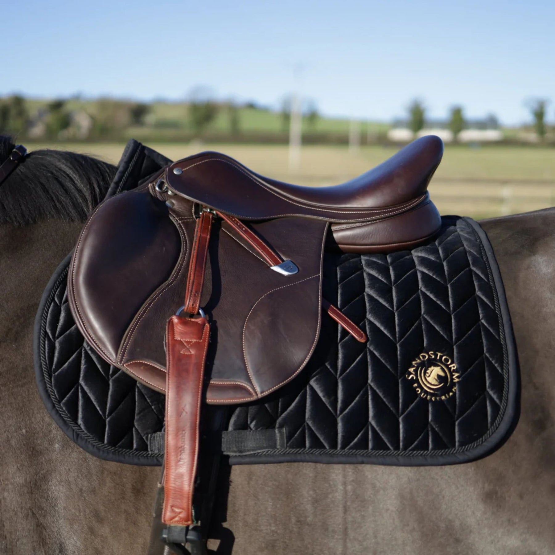 SandStorm Horse Velvet Saddle Pad in Black