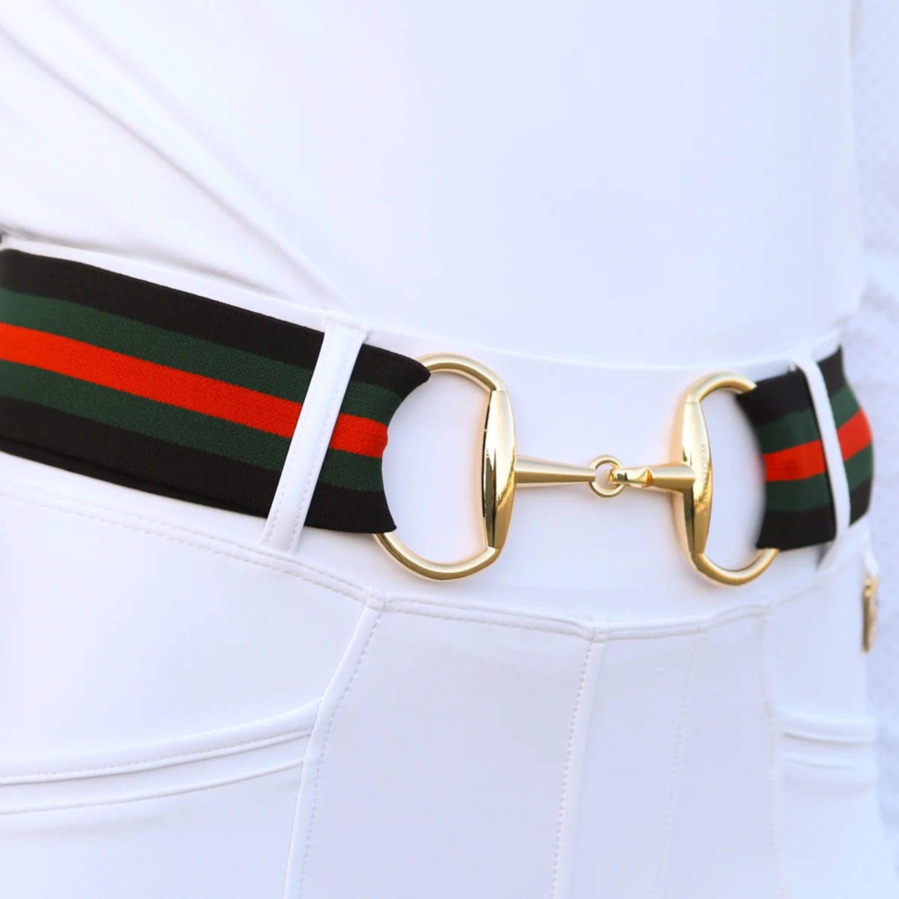 SandStorm Women's Gold Snaffle Belt in Black, Green and Red Stripe