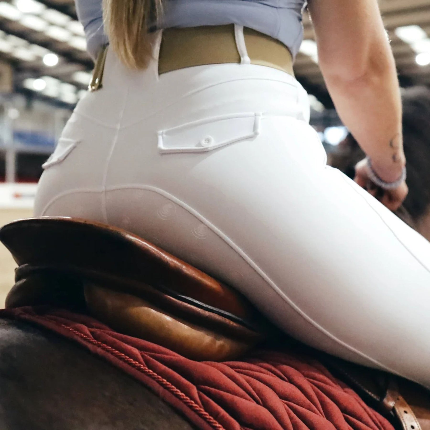 SandStorm Women's Performance Hybrid Riding Leggings in White