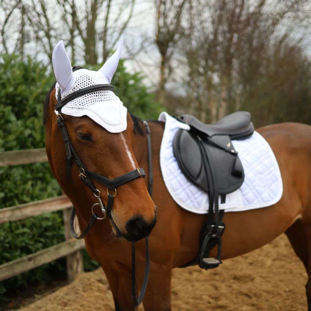 SandStorm Horse Satin Saddle Pad in White