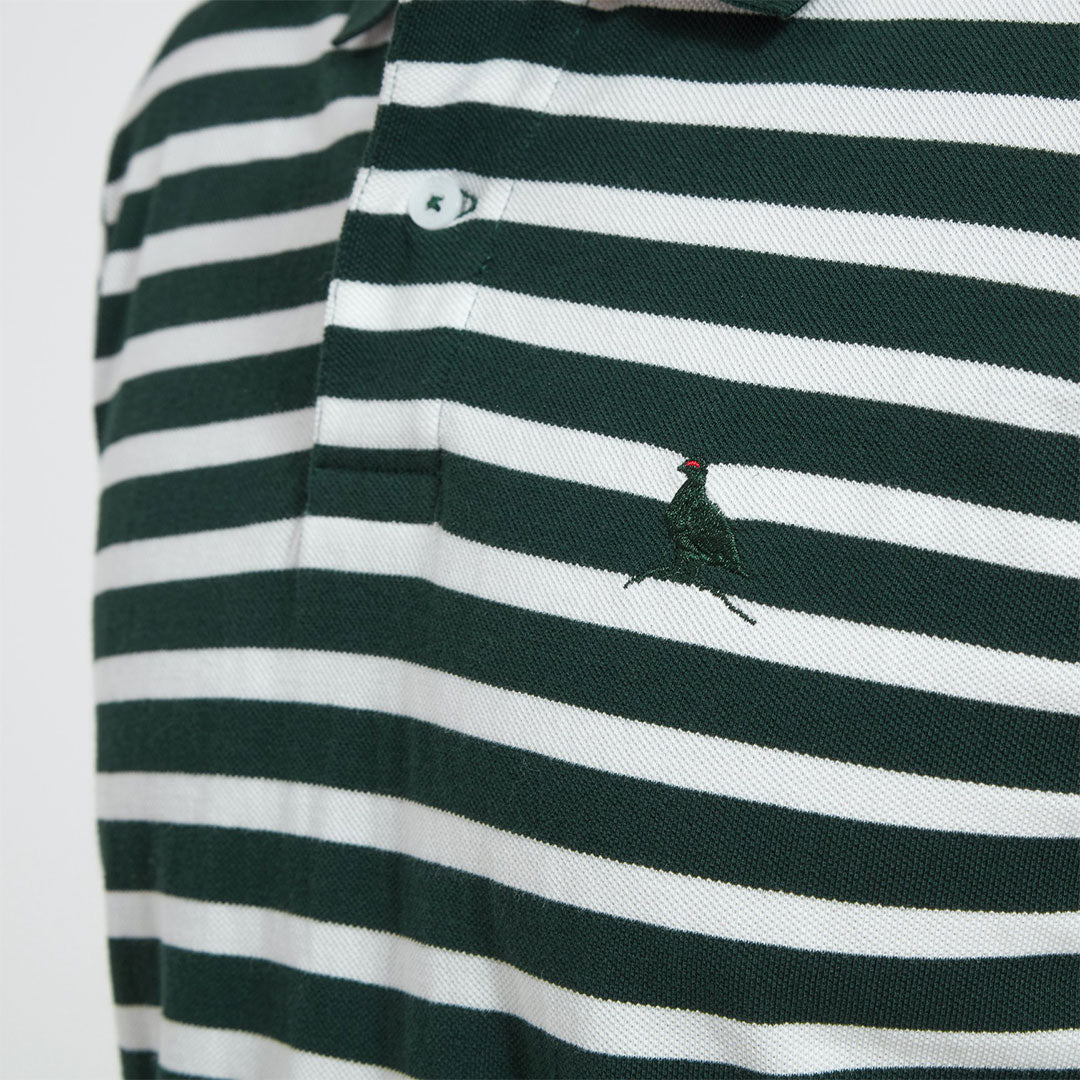 Schoffel Men's St. Ives Tailored Polo Shirt in Green Stripe