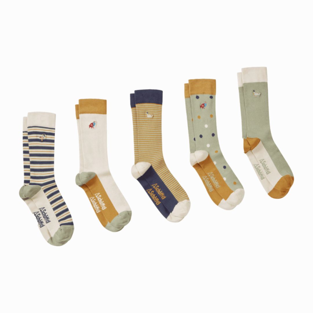 Schoffel Men's Bamboo Sock (Box of 5) in Game Bird