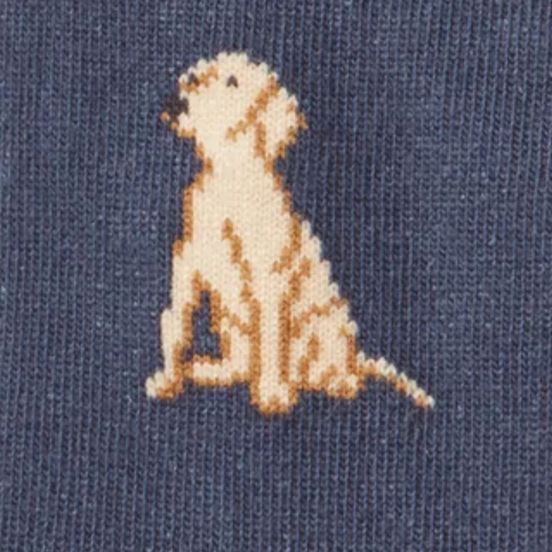 Schoffel Women's Cotton Socks in Navy Labrador