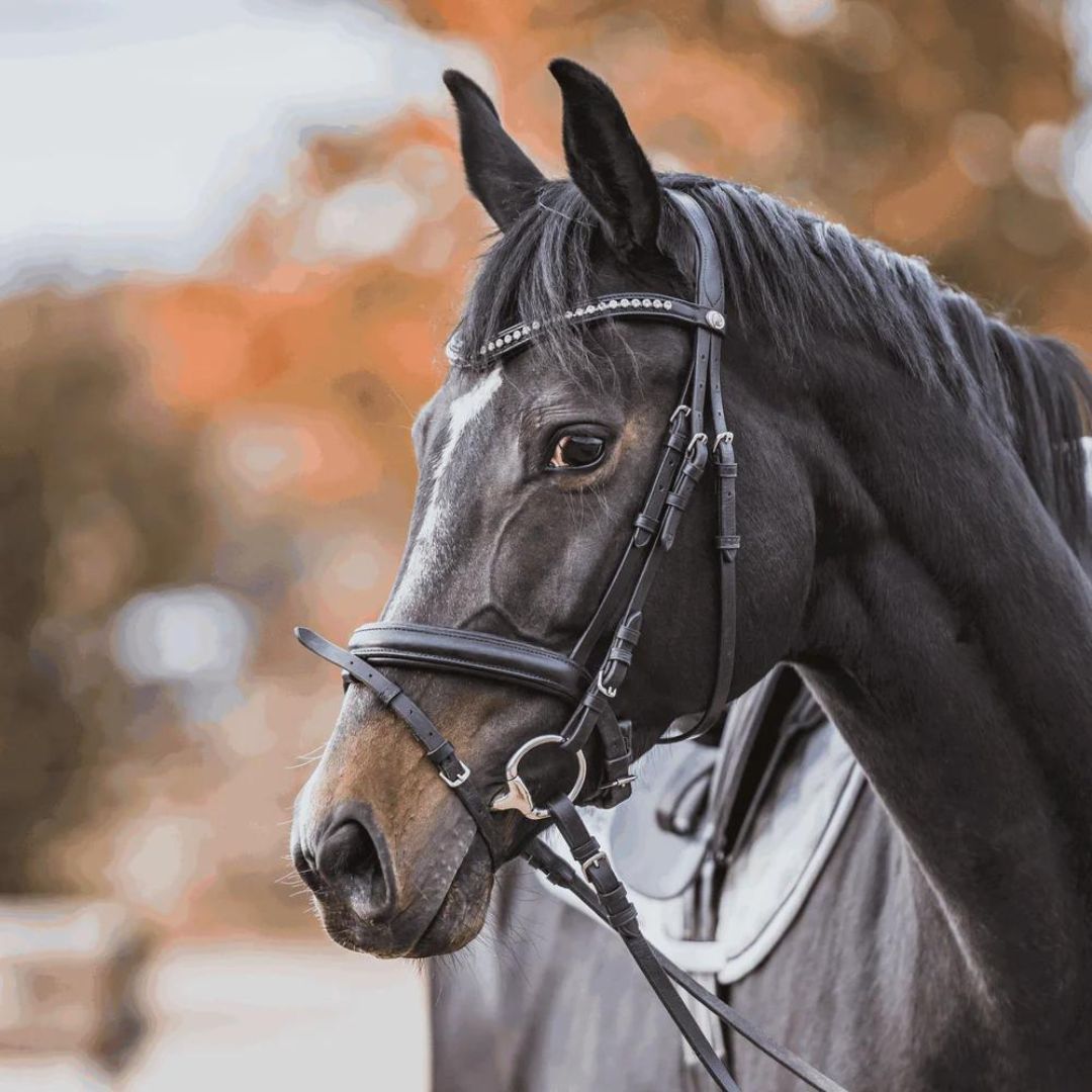 Sprenger KK Ultra (18mm) Eggbutt Bit