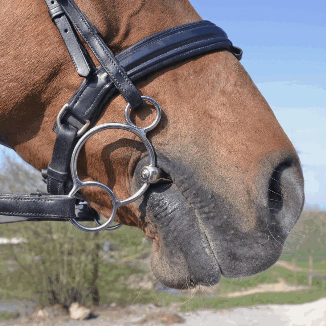 Sprenger KK Ultra (18mm) Universal Sensogan 3-Ring Bit