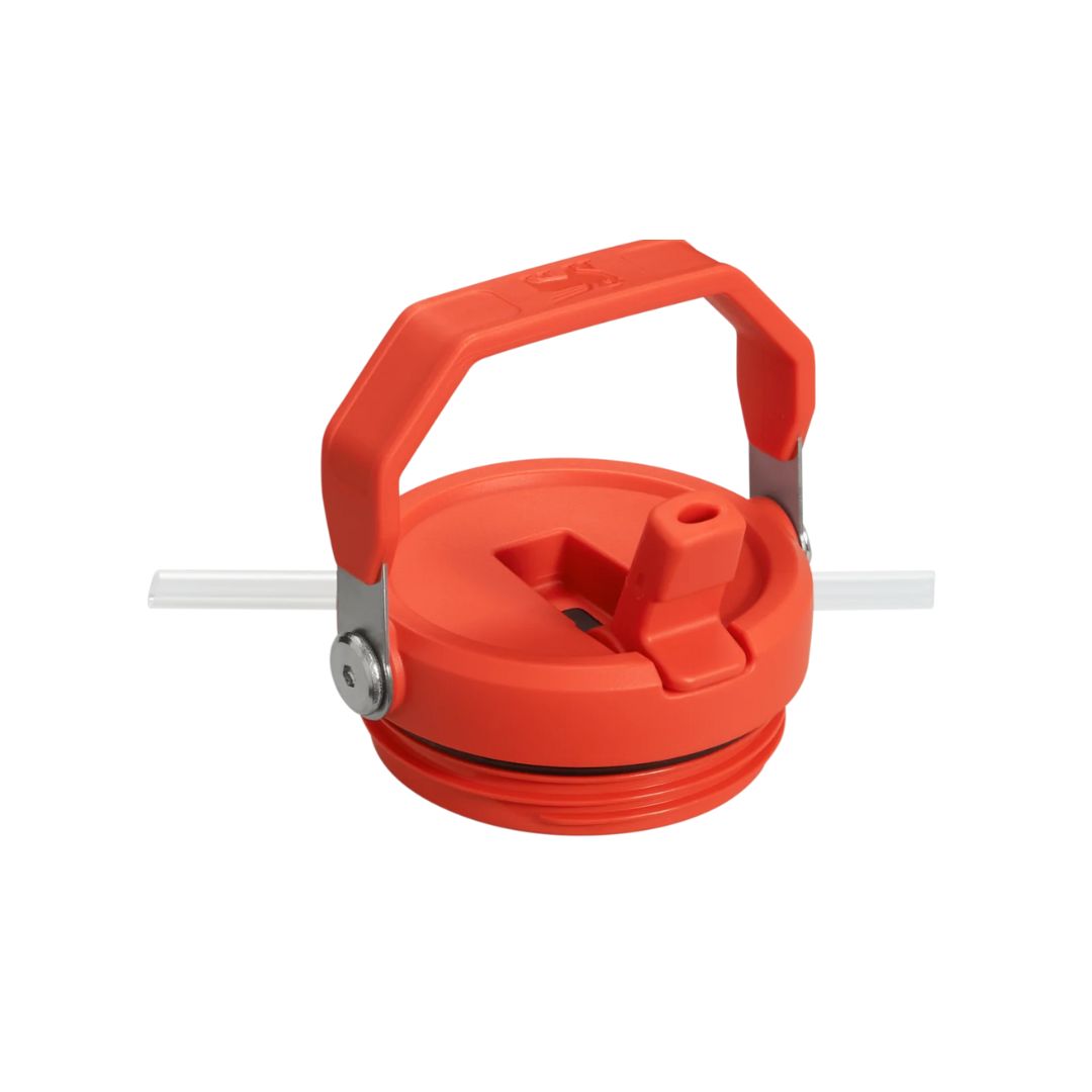 Stanley IceFlow Flip Straw Tumbler in Plum (890ml)