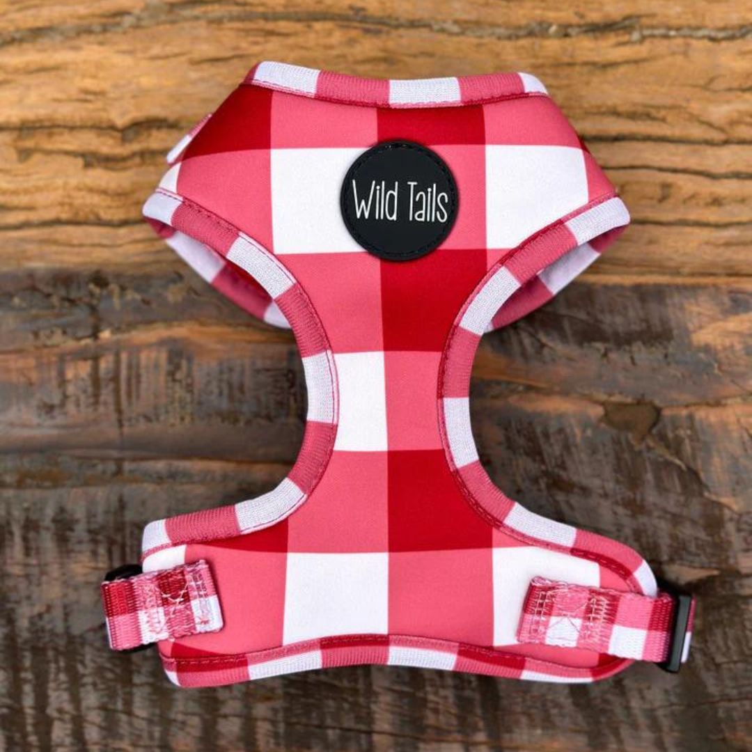 Wild Tails Classic Check Dog Harness in Red