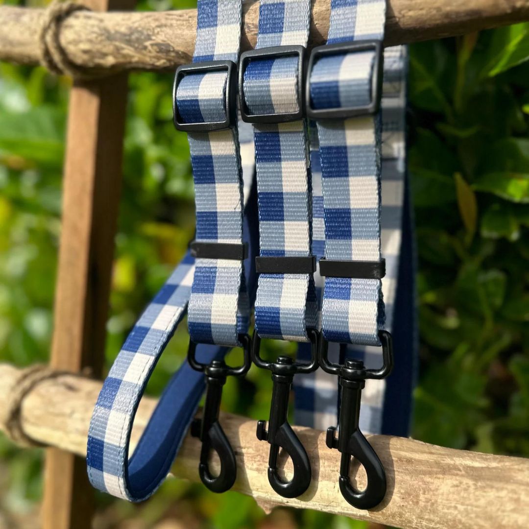 Wild Tails Classic Check Dog Lead in Navy