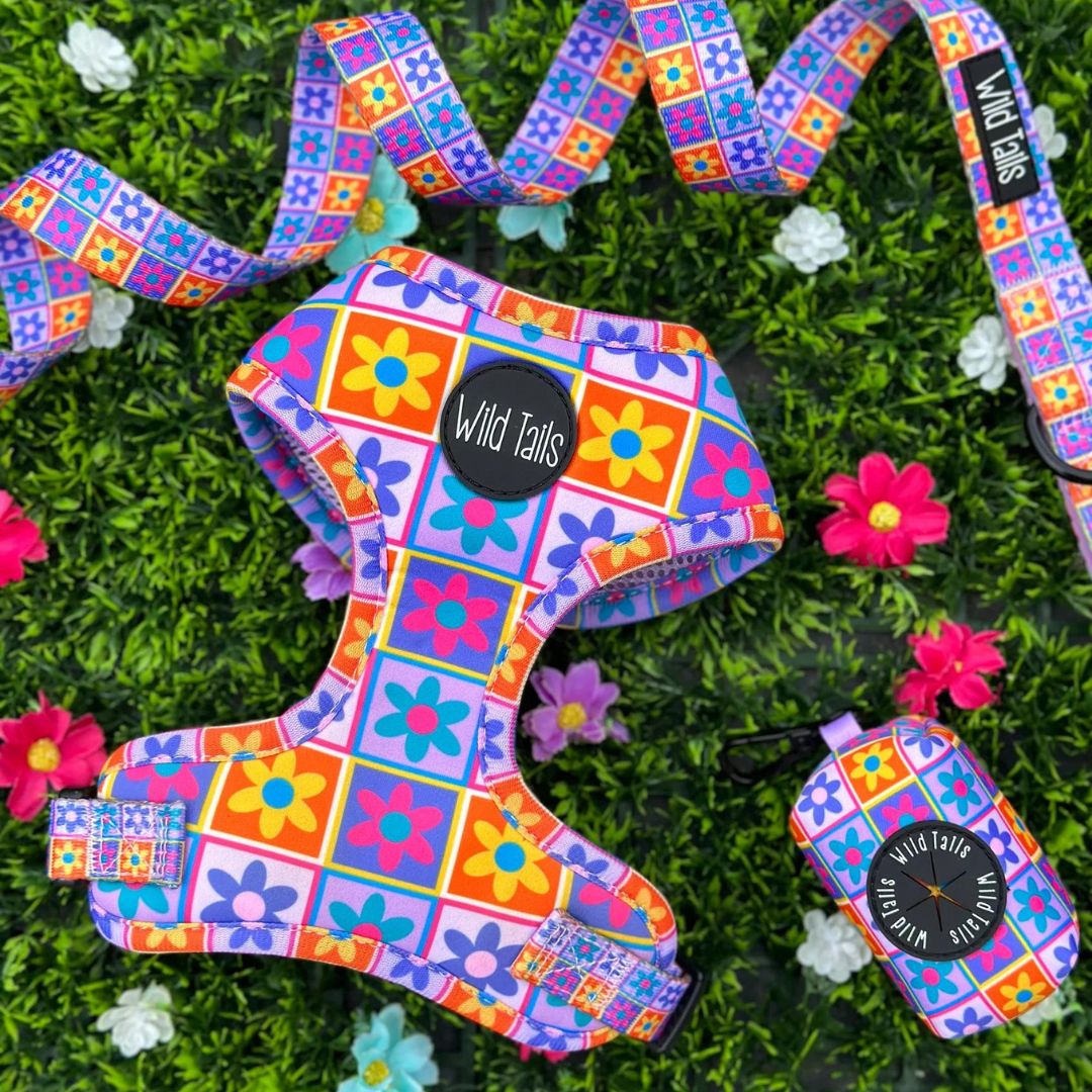 Wild Tails Flower Power Dog Harness