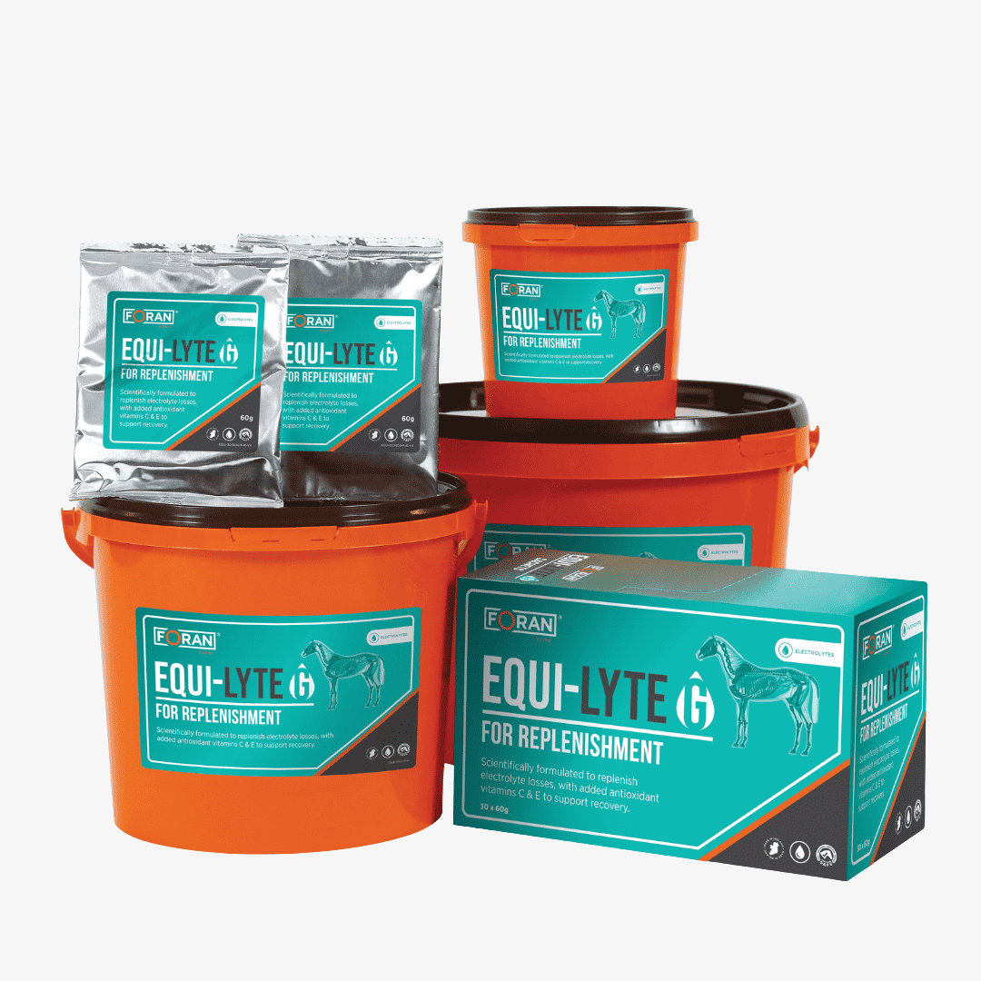 Foran Equine Equi-Lyte G Sachets