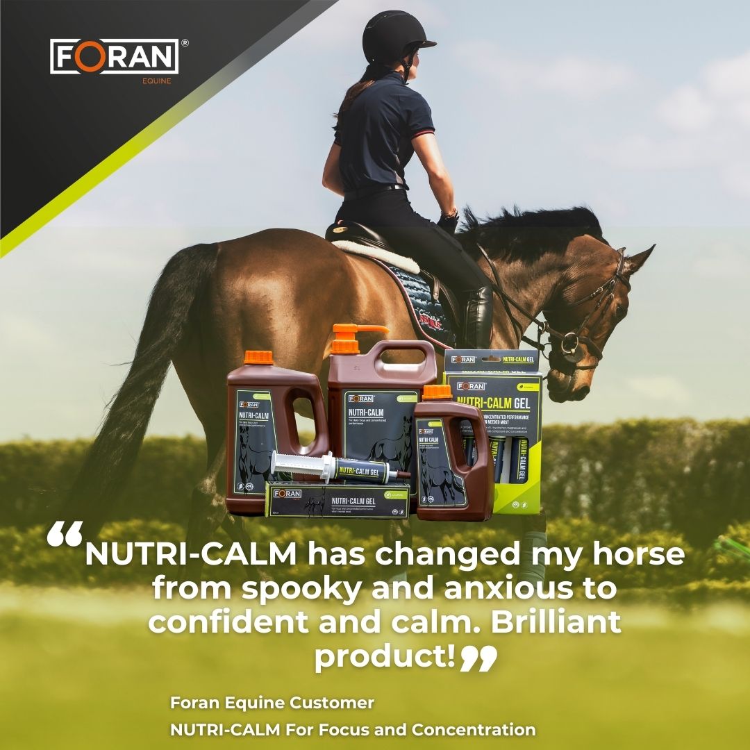 Foran Equine Nutri-Calm Liquid