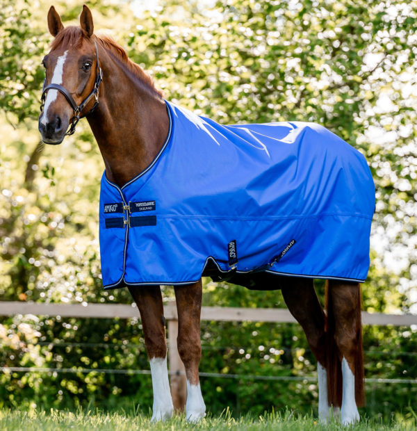 Horseware Amigo Hero Ripstop Pony Light Turnout Rug in Blue, Navy & Grey (0g)