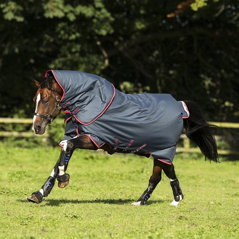 Horseware Amigo Bravo 12 Plus Medium 250g Turnout Rug - RedMillsStore.ie