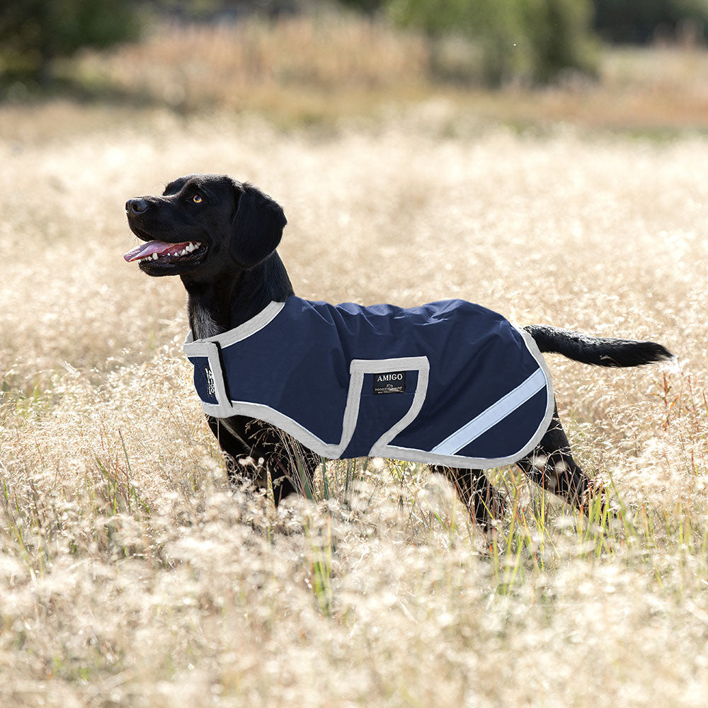 Horseware Amigo Dog Rug Ripstop in Navy & Silver