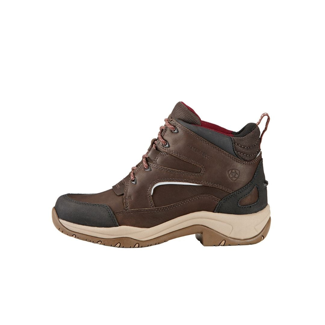 Ariat Women's Telluride H2O Waterproof Boot in Dark Brown