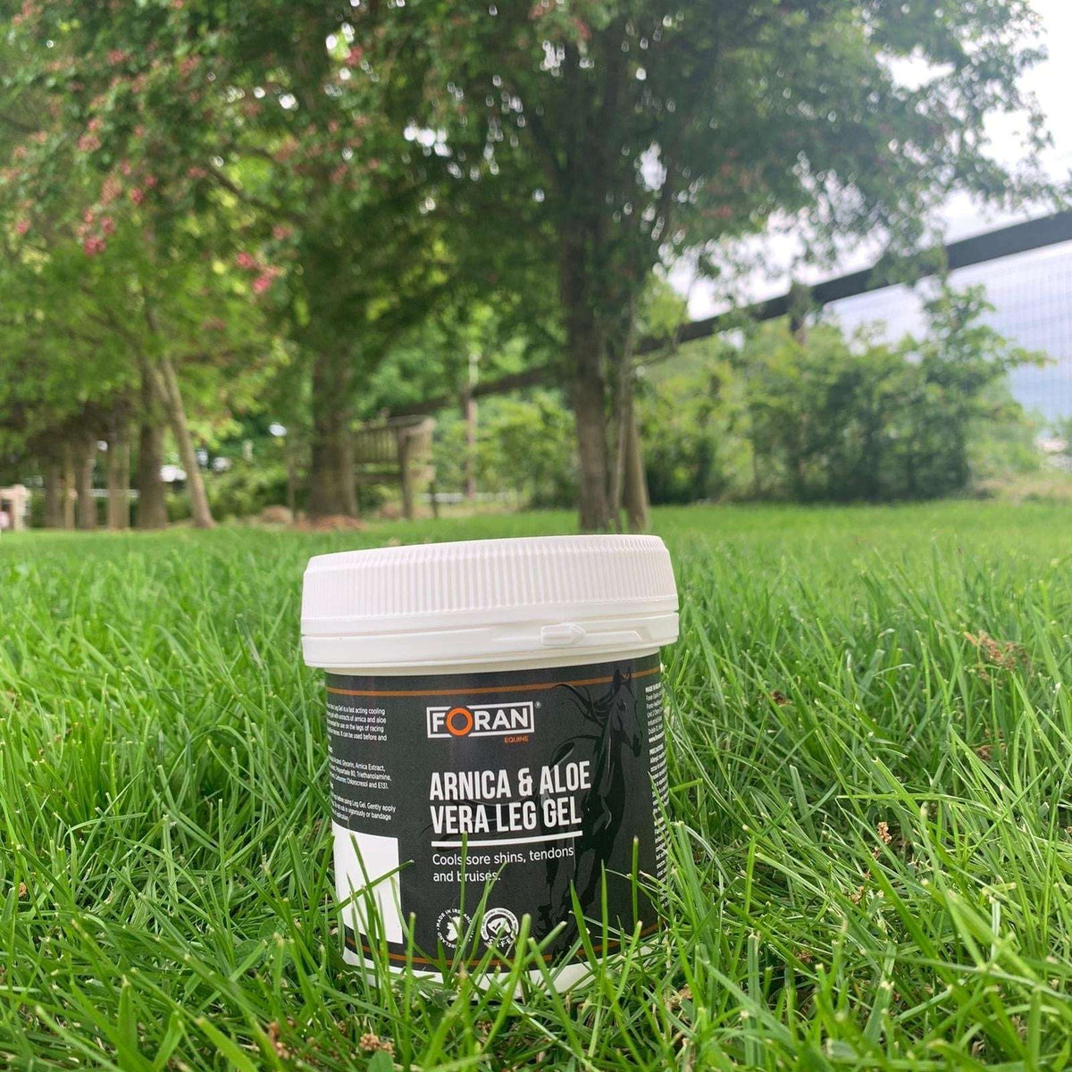 Foran Equine - Arnica & Aloe Vera Leg Gel