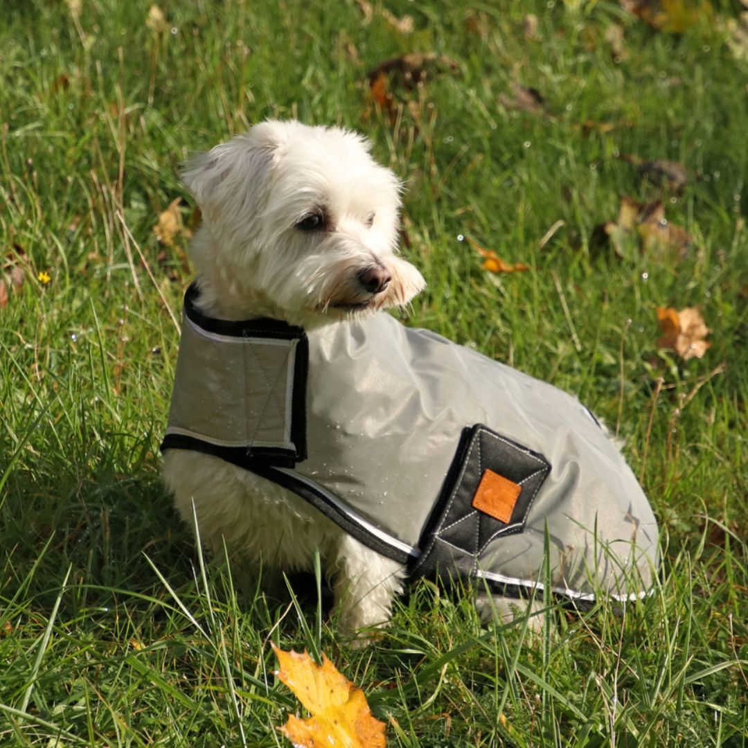 Benji & Flo Silva Flash Dog Coat