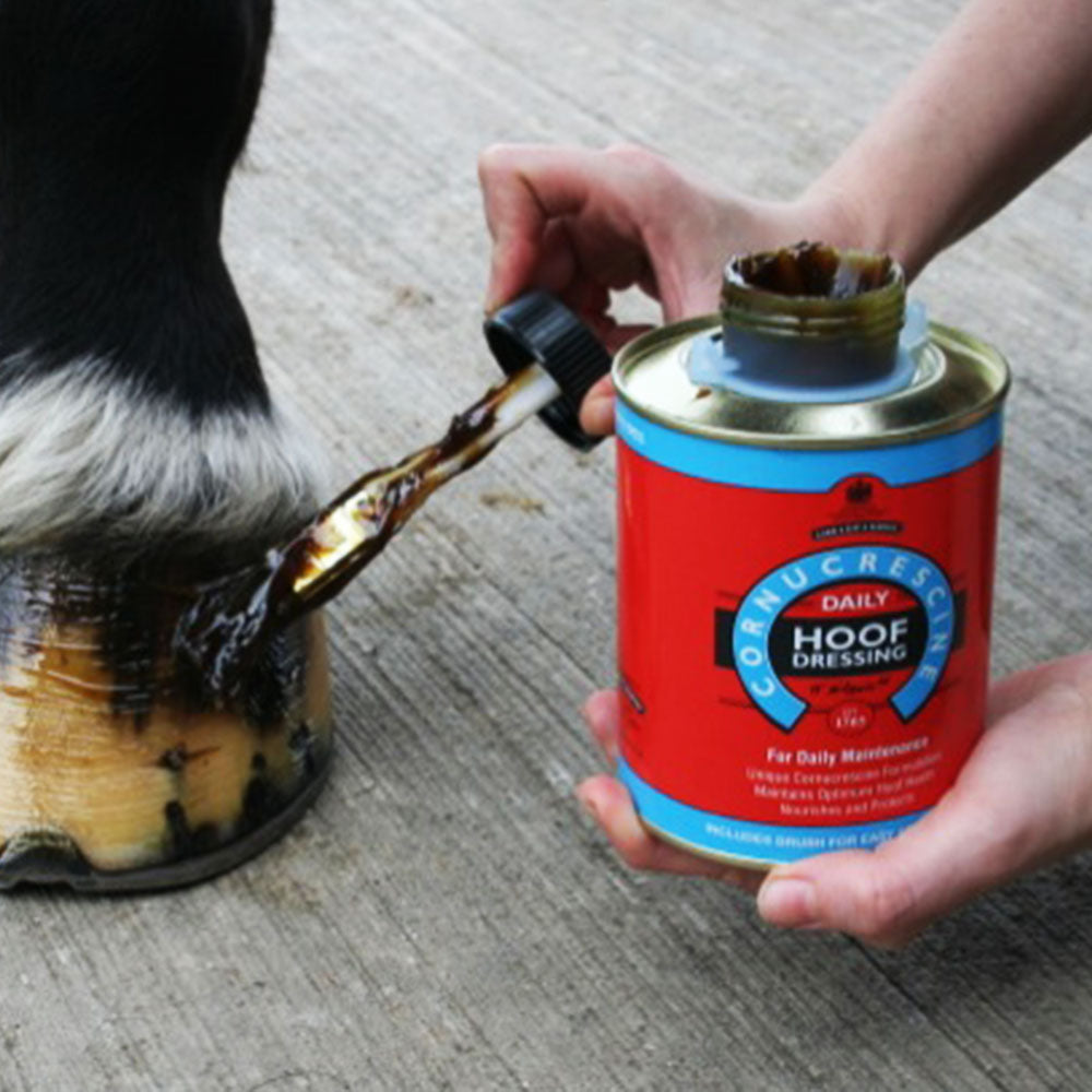 Carr & Day & Martin Cornucrescine Daily Hoof Dressing