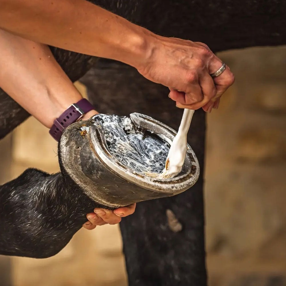 Carr & Day & Martin Cornucrescine Daily Hoof Moisturiser