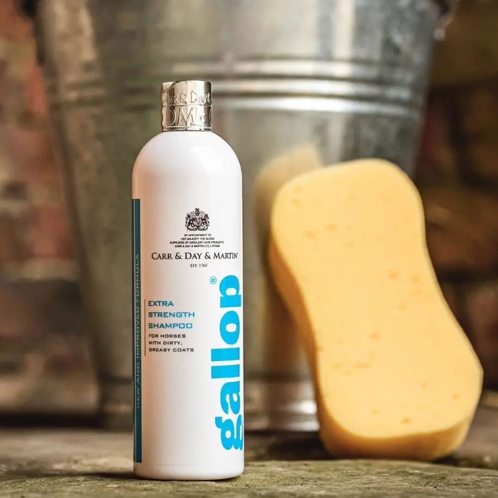Carr & Day & Martin - Gallop Extra Strength Shampoo