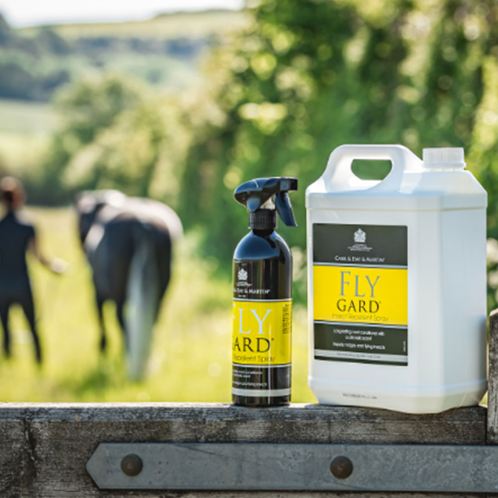 Carr & Day & Martin - Flygard Insect Repellent