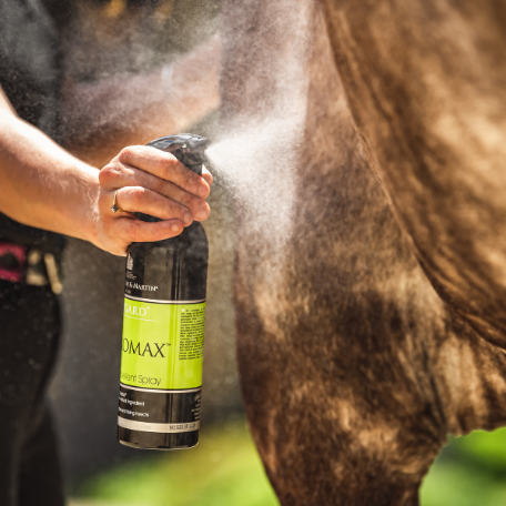 Carr & Day & Martin - Citromax Insect Repellent