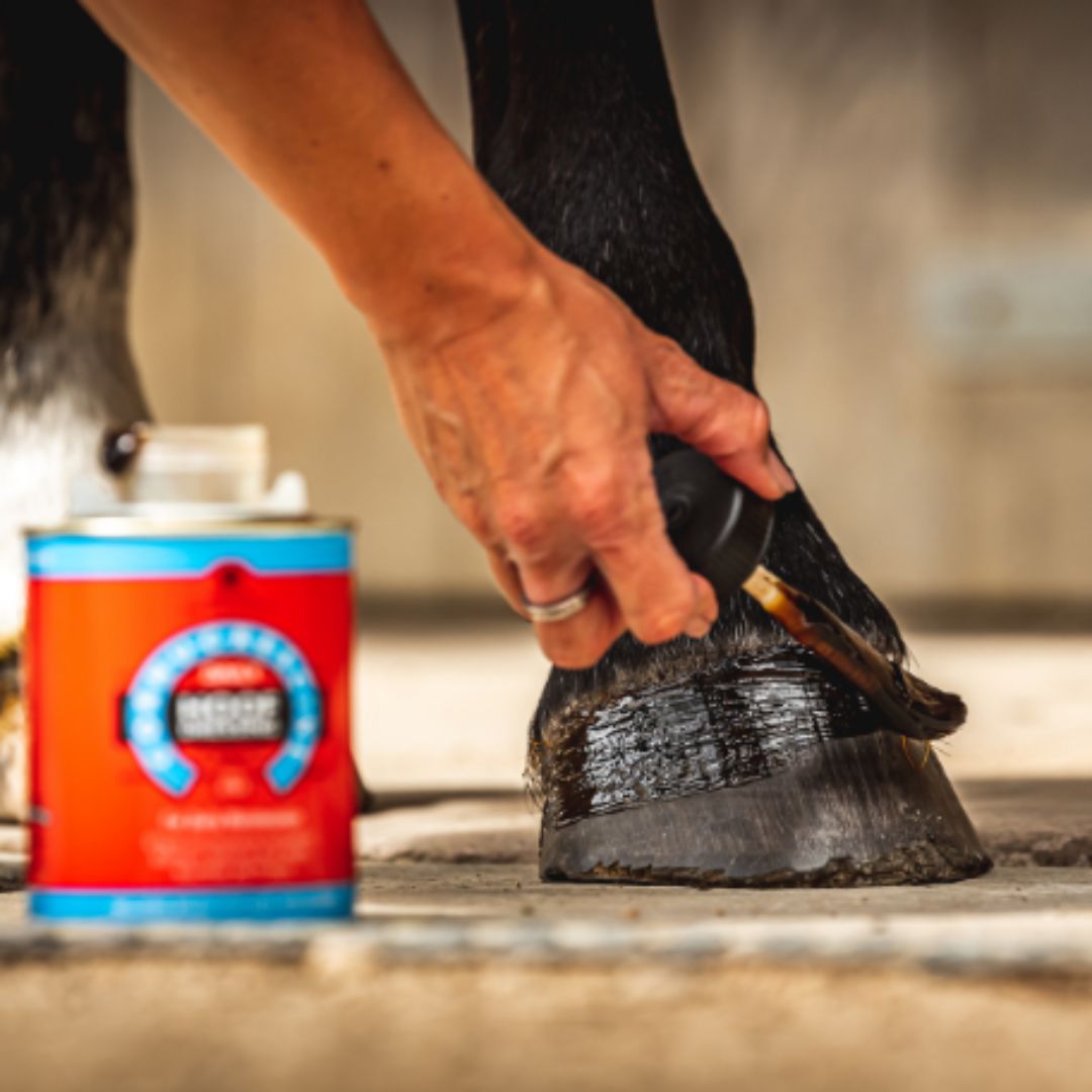 Carr & Day & Martin Cornucrescine Daily Hoof Dressing