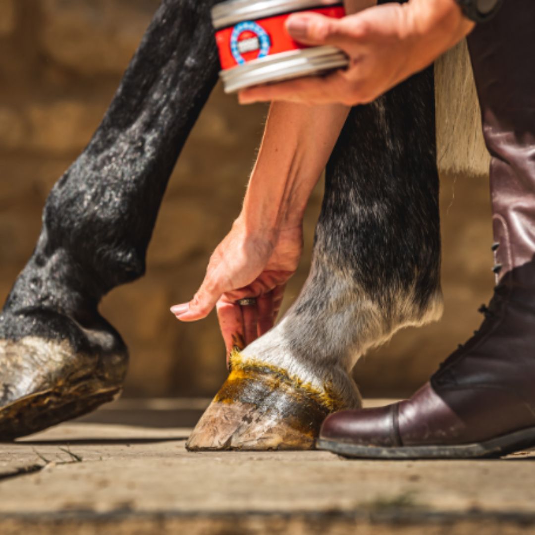 Carr & Day & Martin Cornucrescine Hoof Ointment