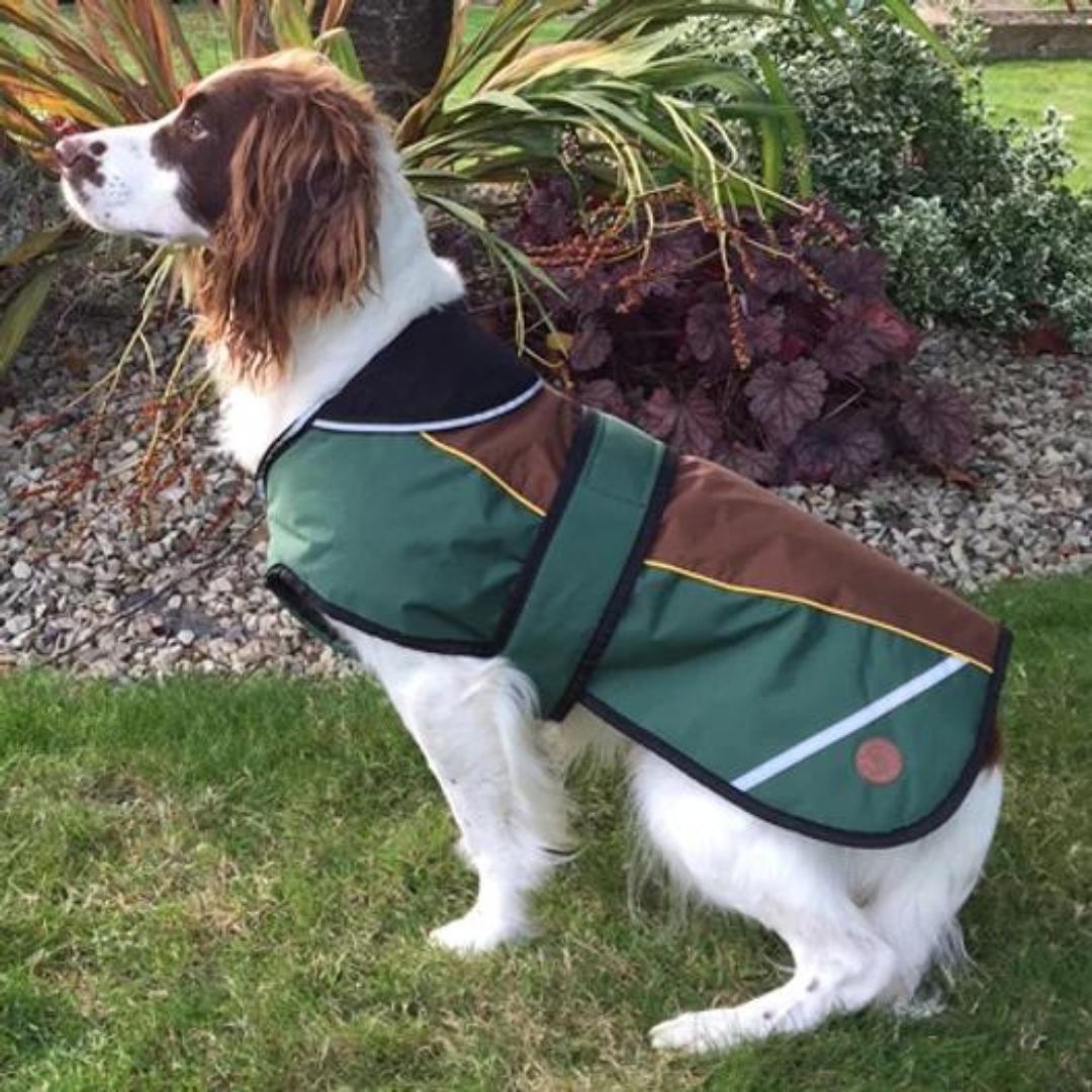 Country Pet Waterproof Dog Coat in Green