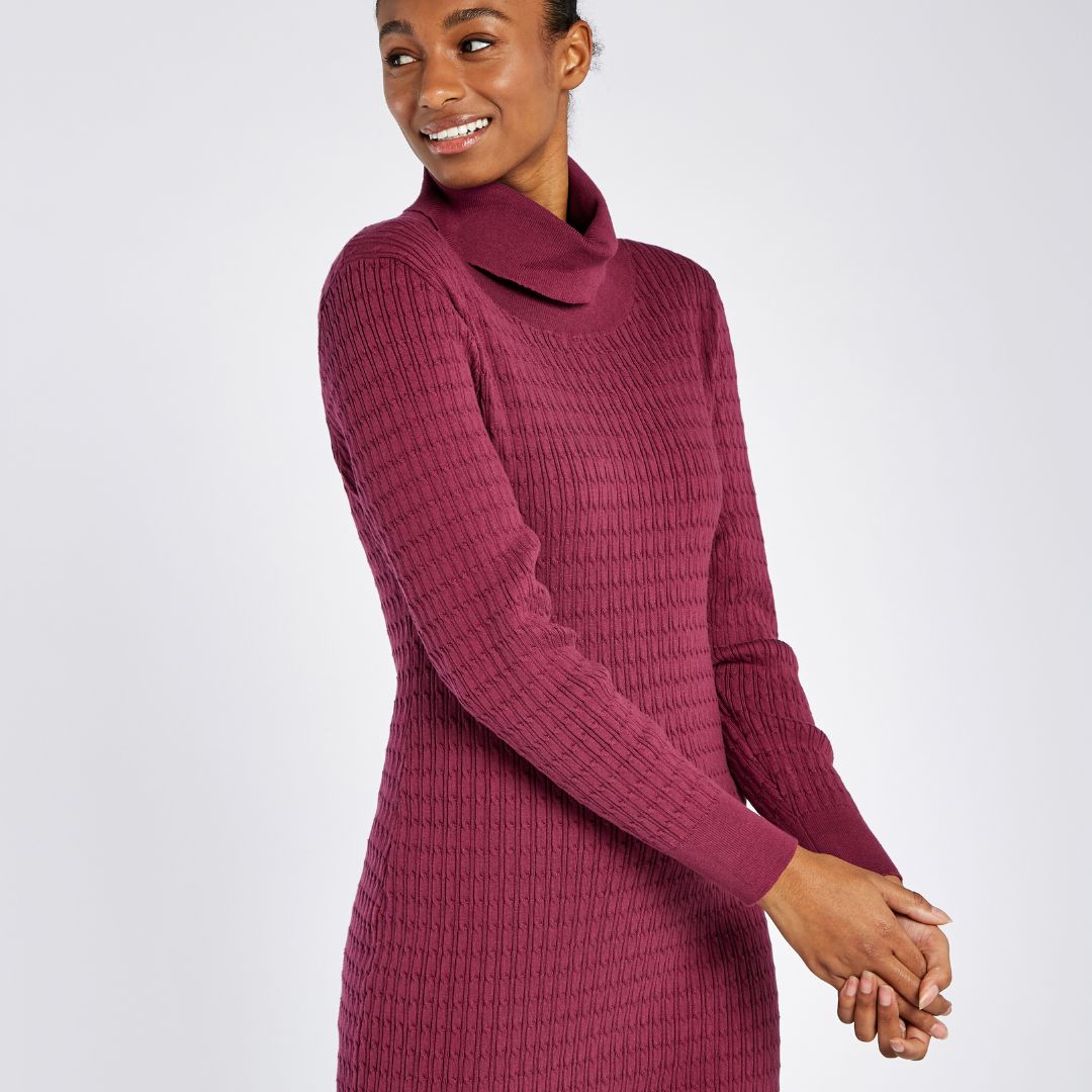 Dubarry Women's Raheen Fitted Dress in Currant