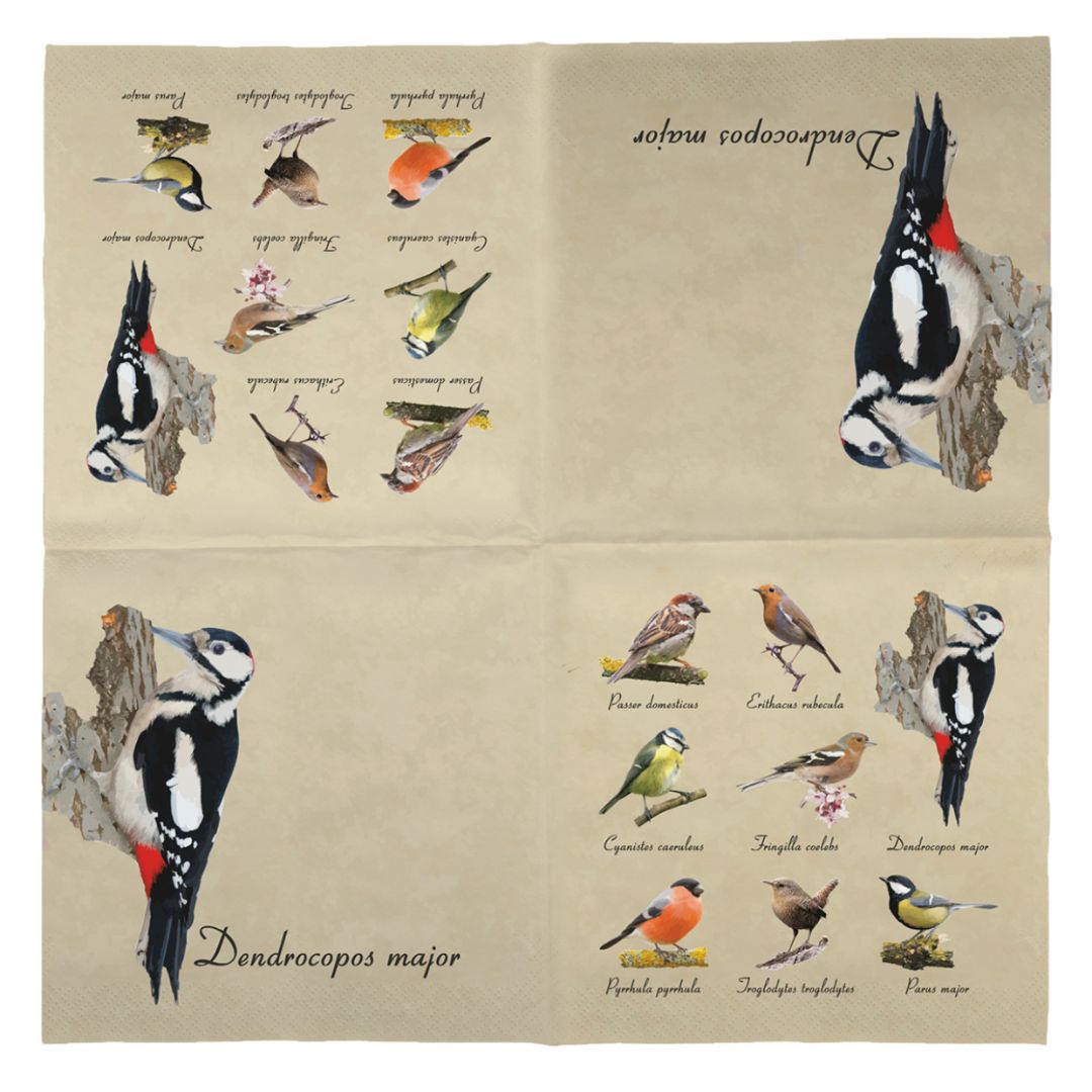 Esschert Design Bird Paper Napkins