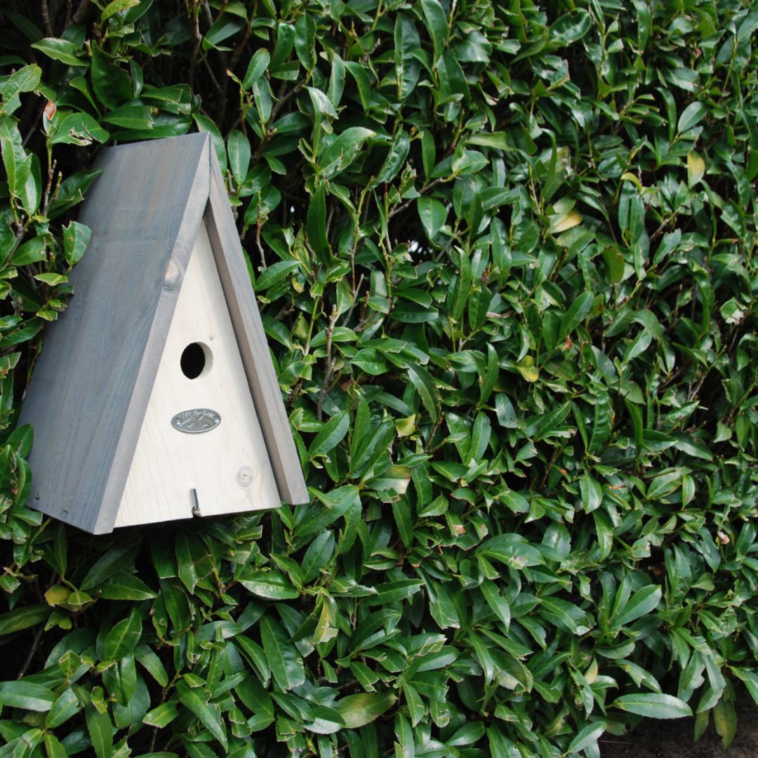 Esschert Design Blue Tit Birdhouse in Grey/White