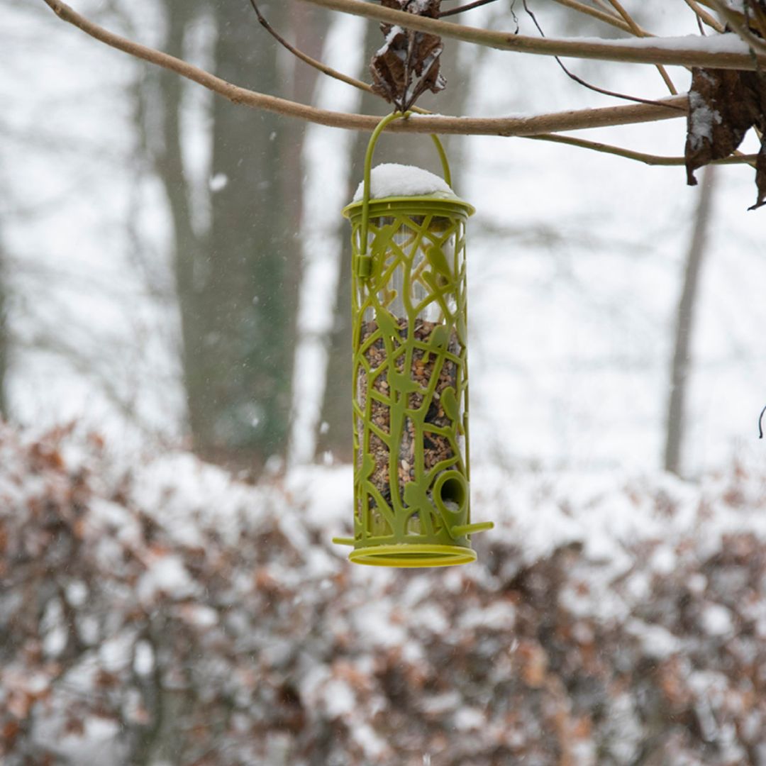 Esschert Design Chiffchaff Silo Feeder with Perch