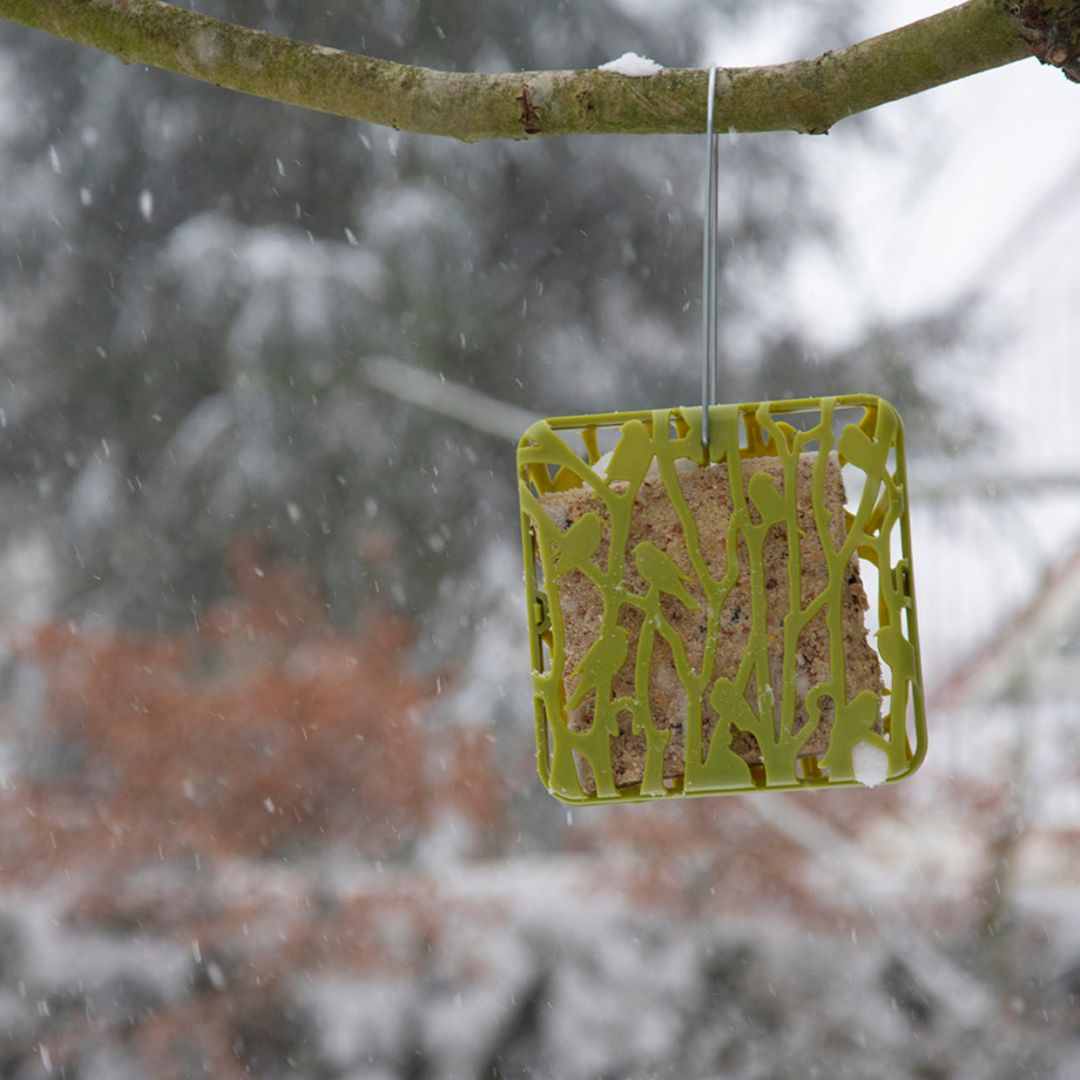 Esschert Design Chiffchaff Suet Block Hanger