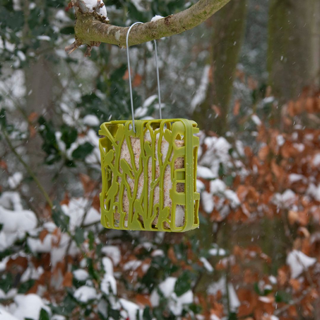 Esschert Design Chiffchaff Suet Block Hanger