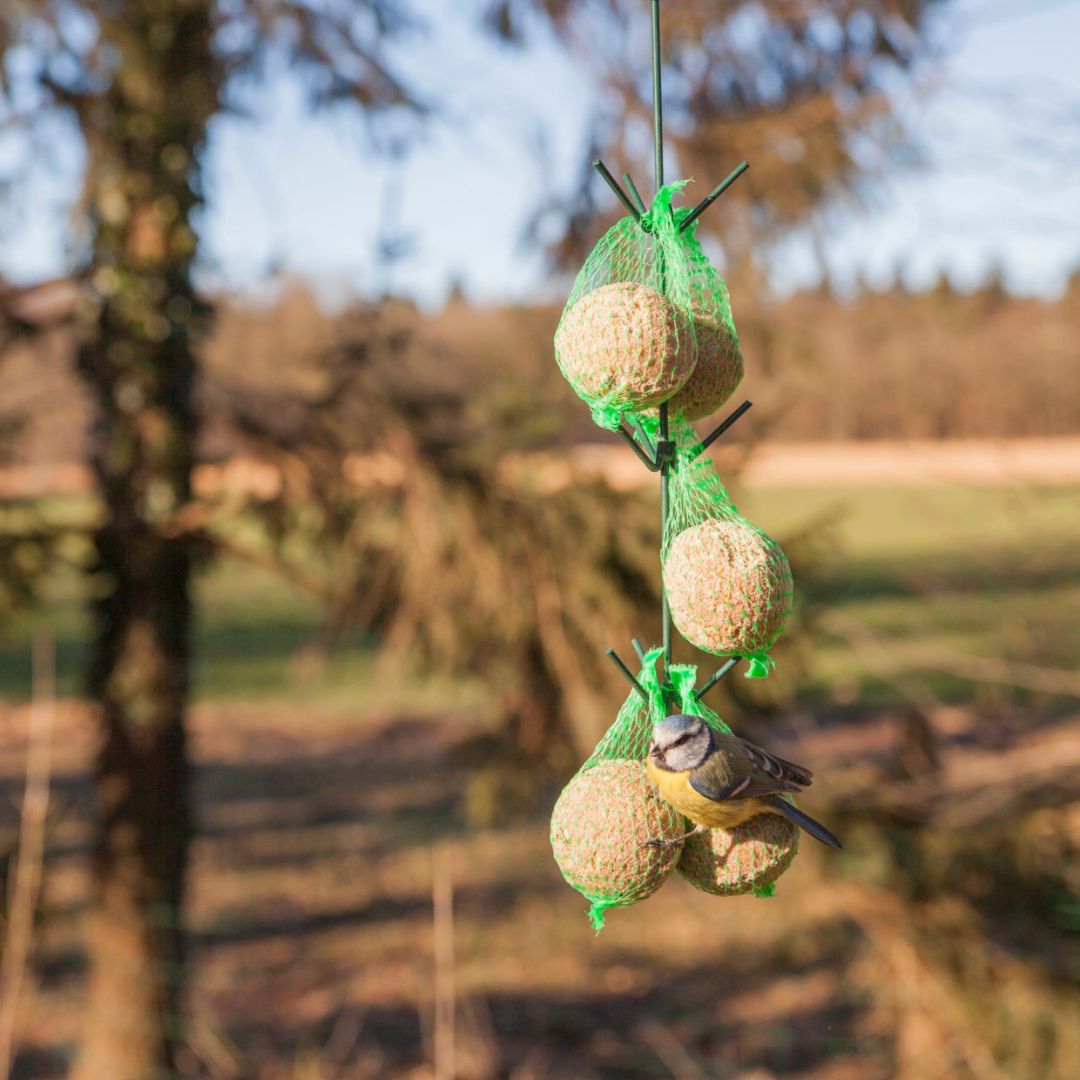Esschert Design Feeding Hooks in Dark Green
