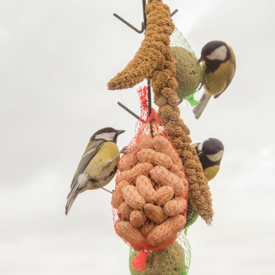 Esschert Design Feeding Hooks in Dark Green