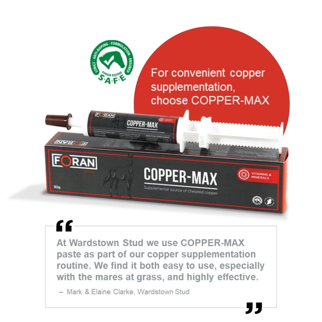 Foran Equine Copper-Max