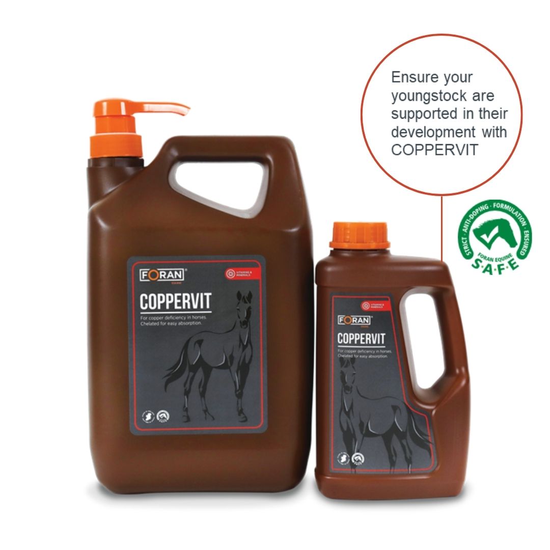 Foran Equine Coppervit