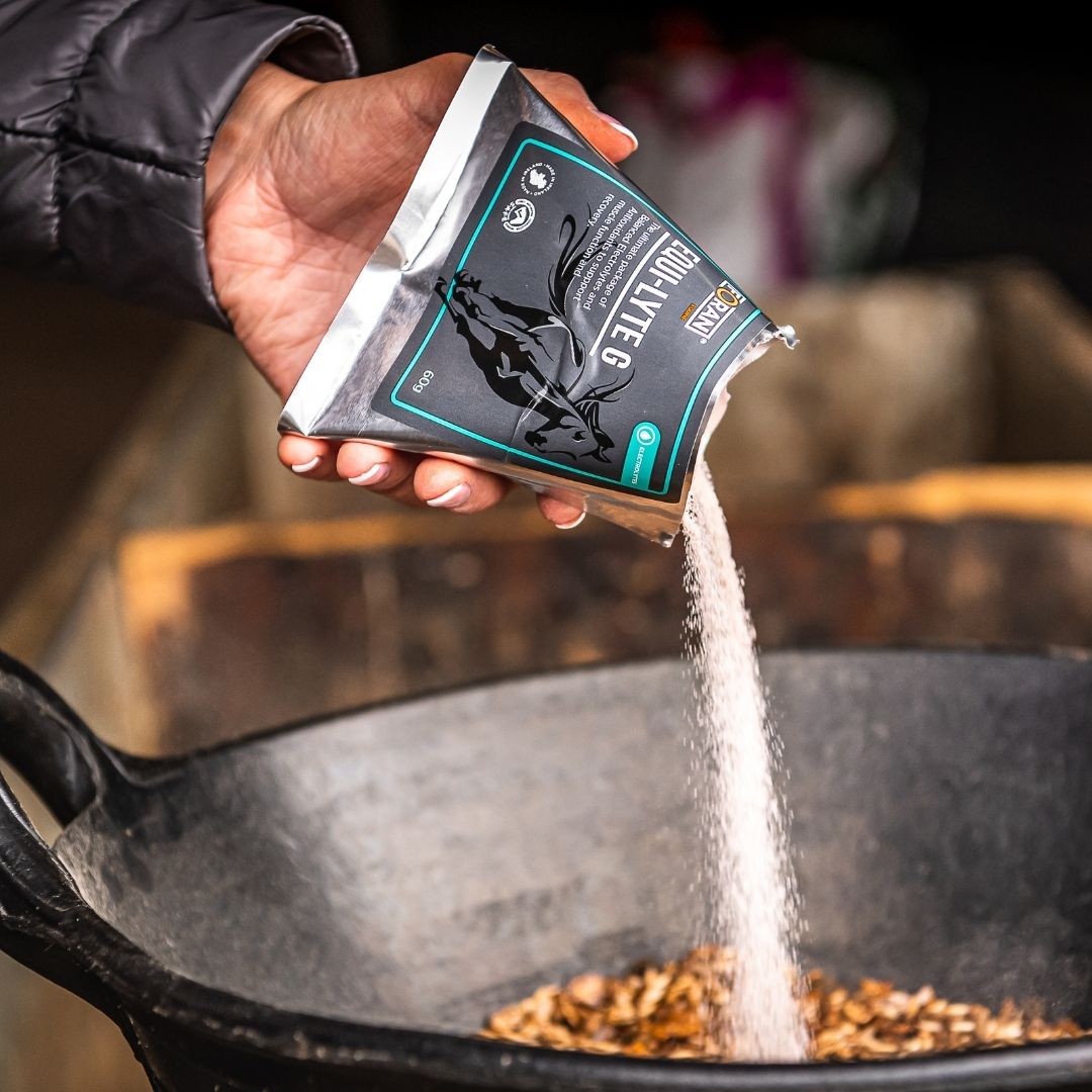 Foran Equine Equi-Lyte G Sachets