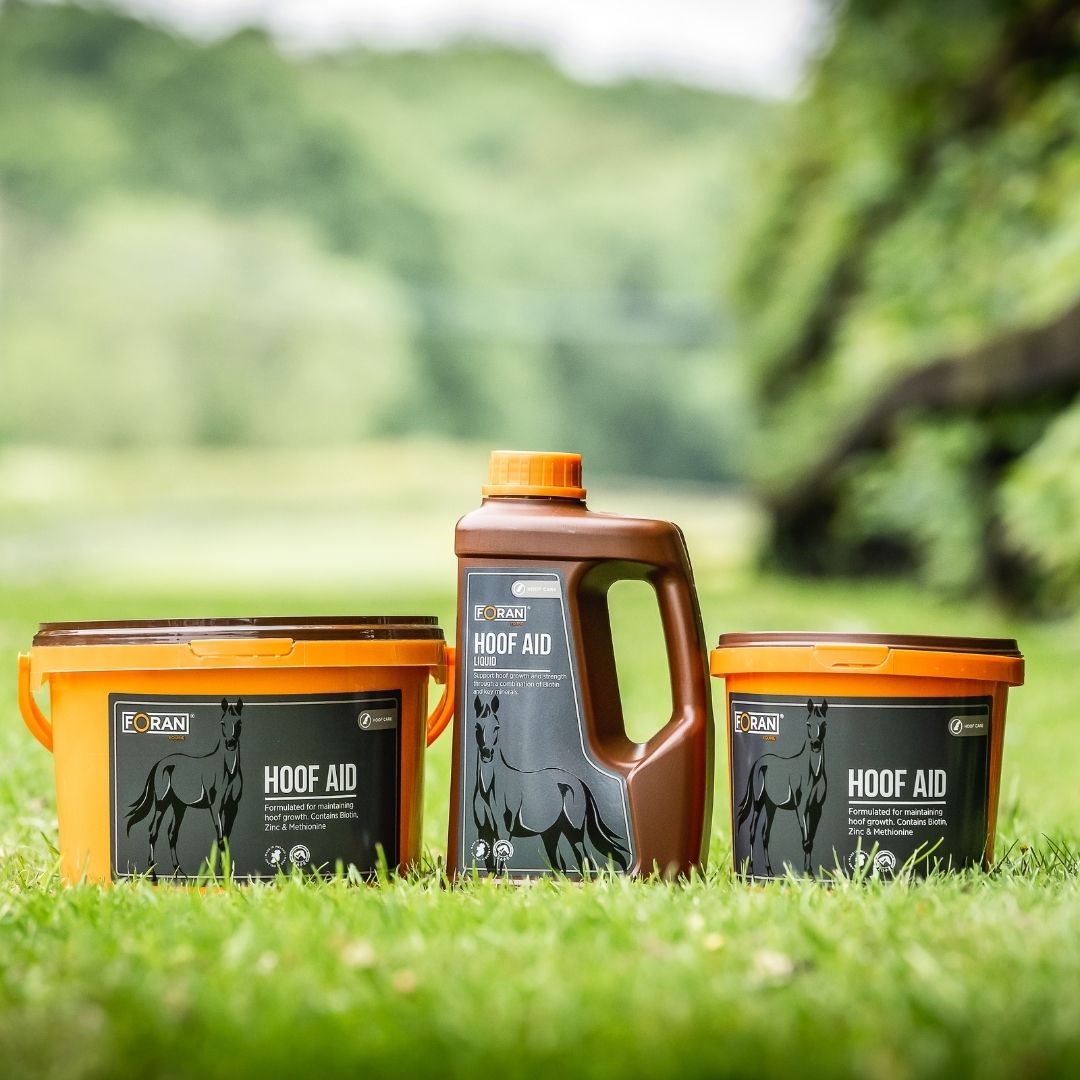 Foran Equine Hoof Aid Liquid
