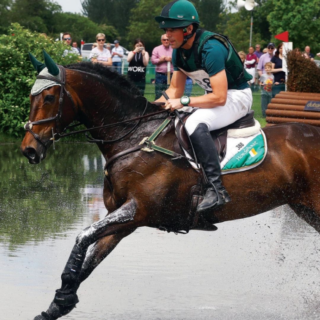 Foran Equine Muscle Max