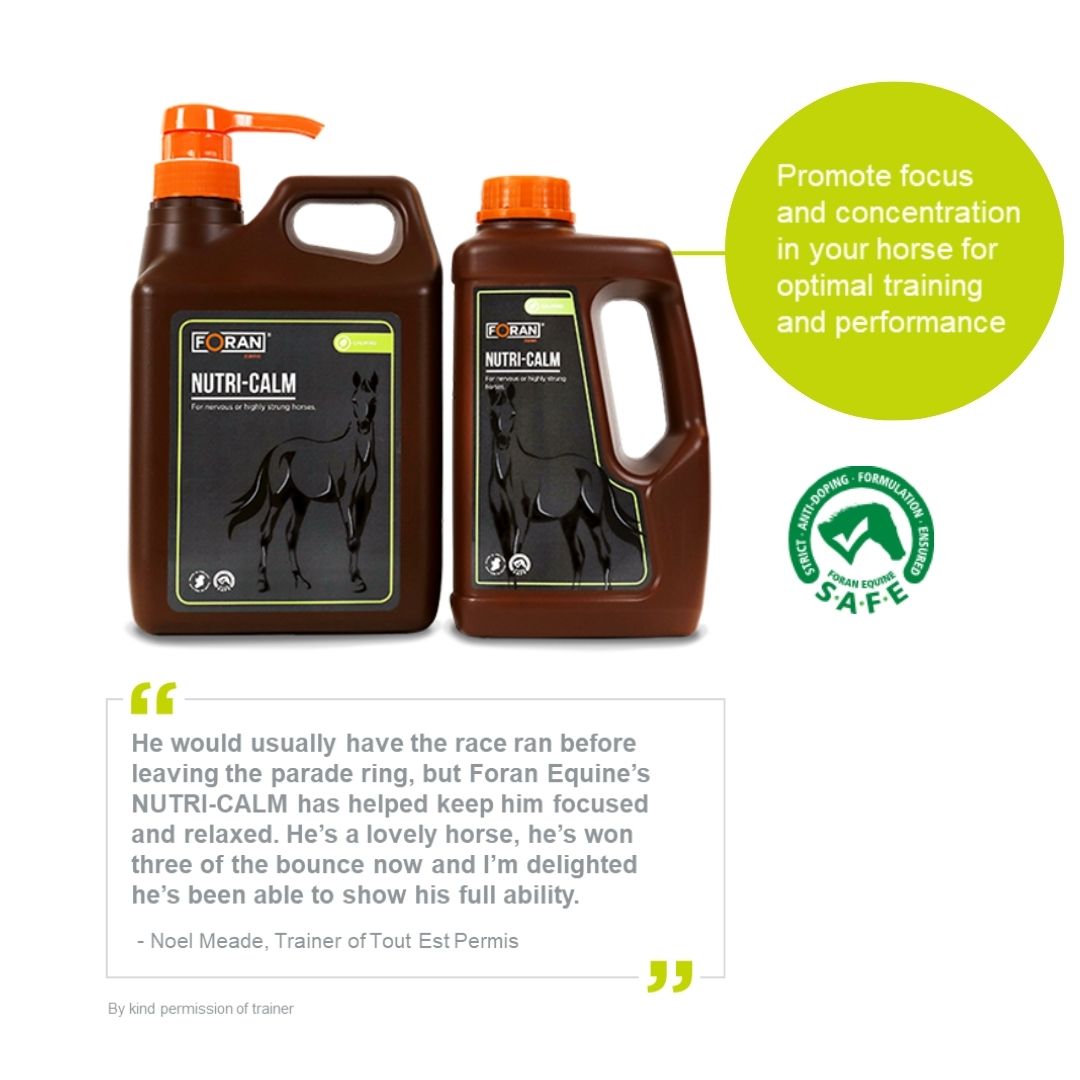Foran Equine Nutri-Calm Liquid